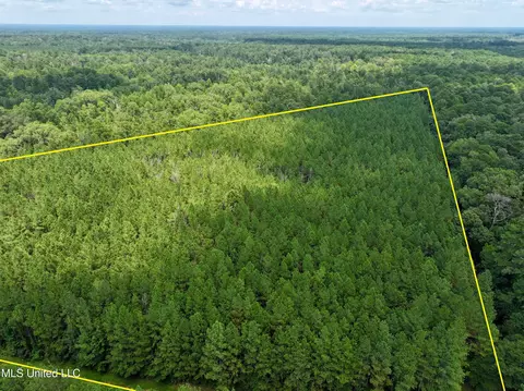 Miggins Road, Canton, MS 39046 photo 4