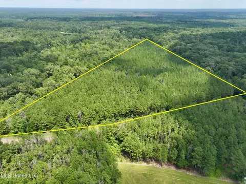 Miggins Road, Canton, MS 39046