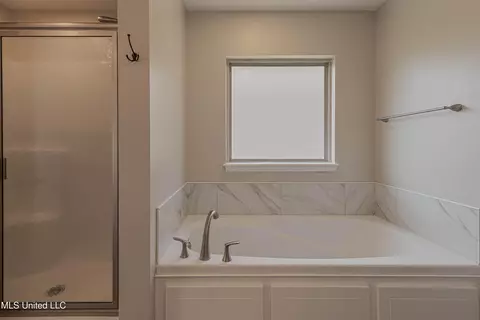 Bath - 938 Filmore Dr, Brandon, MS 39042 photo 4 of 6