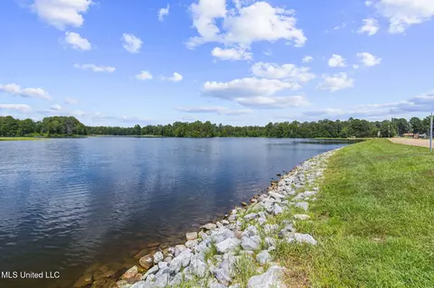 View/Area - 78 Walsh Cv, Byram, MS 39272 photo 1 of 4