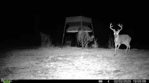 3 Cemetery Rd, Harrisonburg, LA 71340