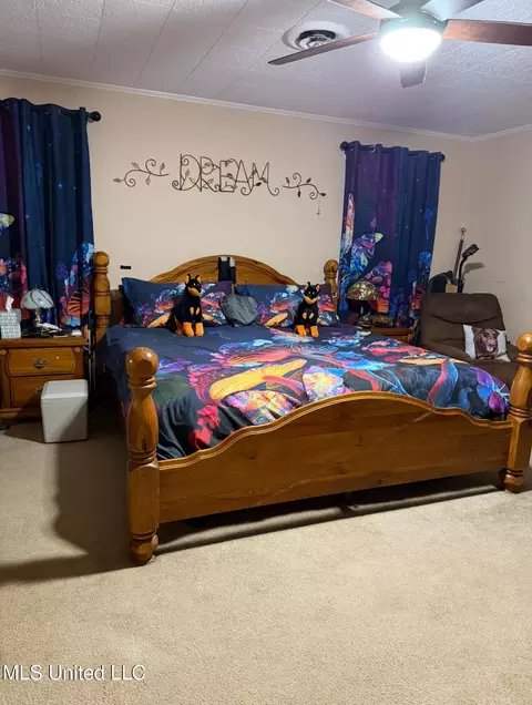 Bedroom - 1173 Northwest Ave, Durant, MS 39063 photo 3 of 4