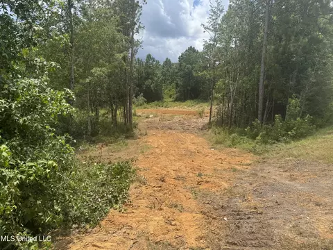 198 Beaver Dam Rd, Mchenry, MS 39561