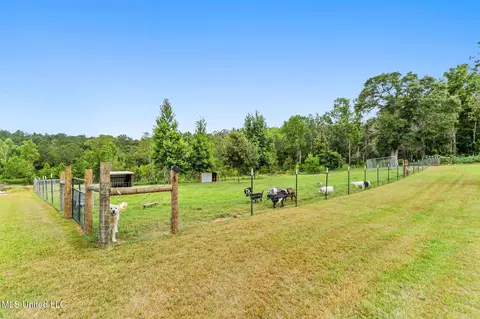 150 Byrd Ln, Lucedale, MS 39452 photo 31