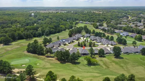 View/Area - 140 Greenway Ln, Madison, MS 39110 photo 3 of 4