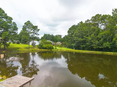 View/Area - 19180 High Pl, Saucier, MS 39574 photo 1 of 4