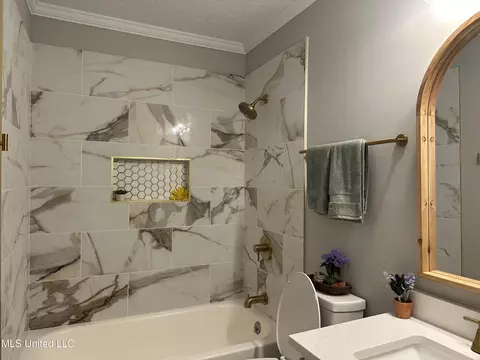 Bath - 909 Brookford Ct, Jackson, MS 39212 photo 25 of 32