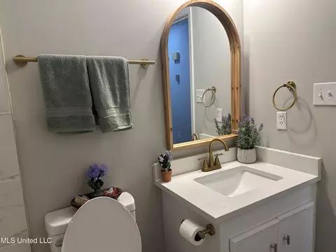 Bath - 909 Brookford Ct, Jackson, MS 39212 photo 22 of 32
