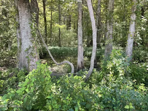 Bolivar Road, Benoit, MS 38725 photo 95