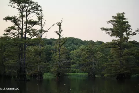 Bolivar Road, Benoit, MS 38725 photo 66
