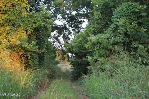 Bolivar Road, Benoit, MS 38725 photo 29