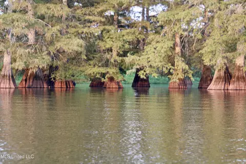 Bolivar Road, Benoit, MS 38725 photo 65