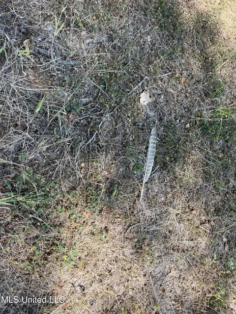 Bolivar Road, Benoit, MS 38725 photo 87