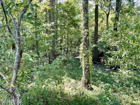 Bolivar Road, Benoit, MS 38725 photo 98