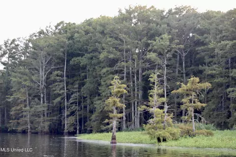Bolivar Road, Benoit, MS 38725 photo 24