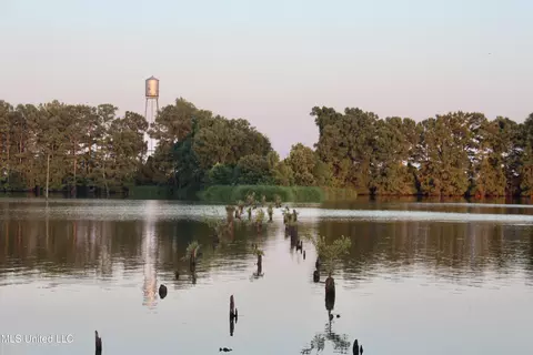 Bolivar Road, Benoit, MS 38725 photo 5