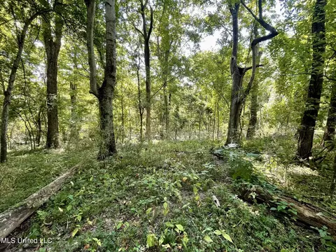 Bolivar Road, Benoit, MS 38725 photo 89