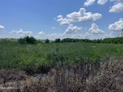 Bolivar Road, Benoit, MS 38725 photo 100