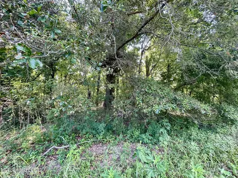 Bolivar Road, Benoit, MS 38725 photo 88