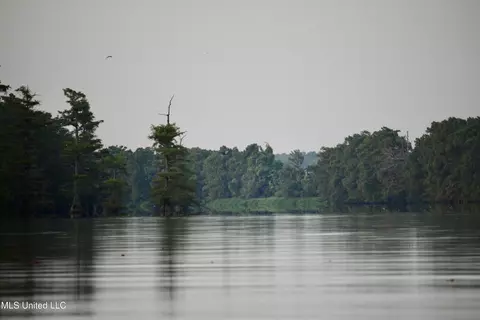 Bolivar Road, Benoit, MS 38725 photo 70
