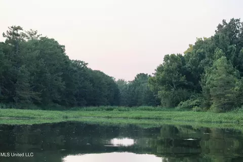 Bolivar Road, Benoit, MS 38725 photo 74