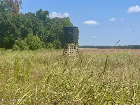 Bolivar Road, Benoit, MS 38725 photo 93