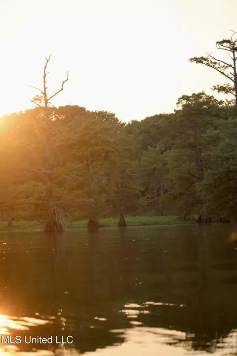 Bolivar Road, Benoit, MS 38725 photo 67