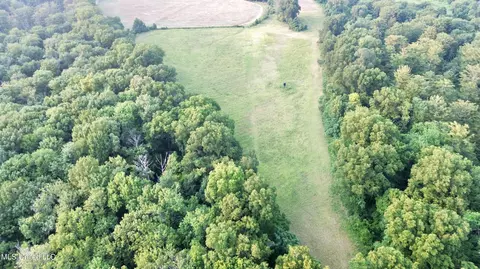 Bolivar Road, Benoit, MS 38725 photo 43