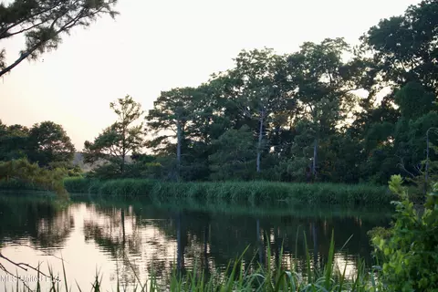 Bolivar Road, Benoit, MS 38725 photo 31