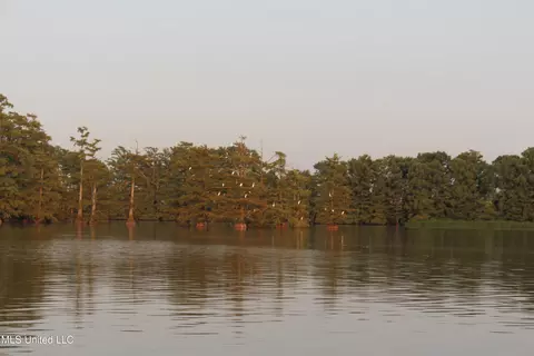 Bolivar Road, Benoit, MS 38725 photo 62
