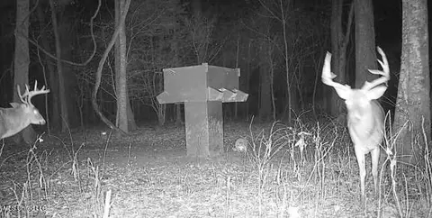 Bolivar Road, Benoit, MS 38725 photo 103
