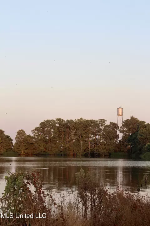 Bolivar Road, Benoit, MS 38725 photo 35