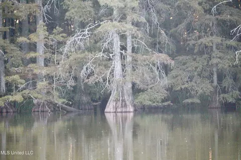 Bolivar Road, Benoit, MS 38725 photo 72