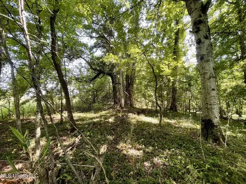 Bolivar Road, Benoit, MS 38725 photo 90