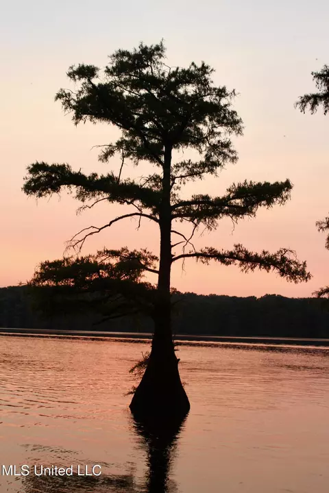 Bolivar Road, Benoit, MS 38725 photo 83