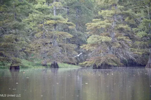 Bolivar Road, Benoit, MS 38725 photo 69