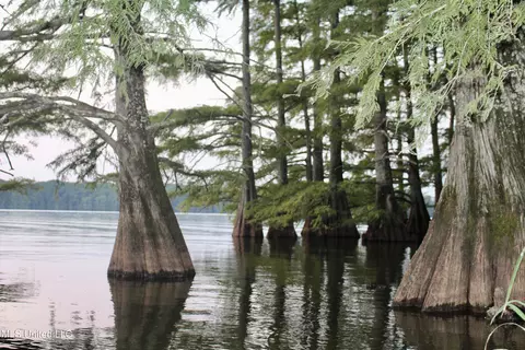 Bolivar Road, Benoit, MS 38725 photo 81