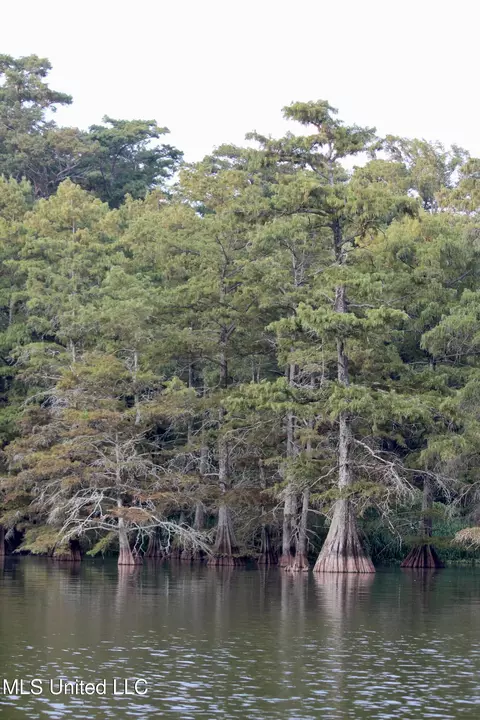 Bolivar Road, Benoit, MS 38725 photo 64