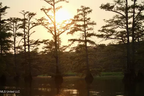 Bolivar Road, Benoit, MS 38725 photo 68