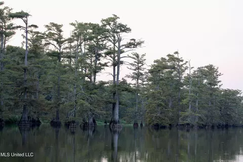Bolivar Road, Benoit, MS 38725 photo 73