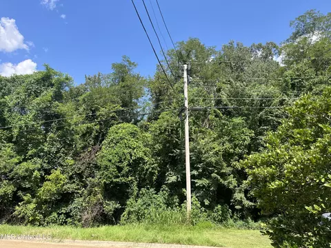 0 Triplett Dr, Natchez, MS 39120 photo 4