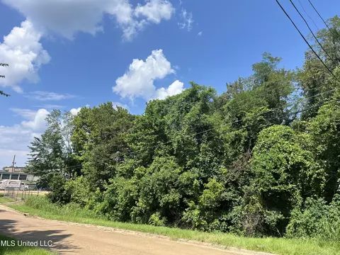 0 Triplett Dr, Natchez, MS 39120 photo 5