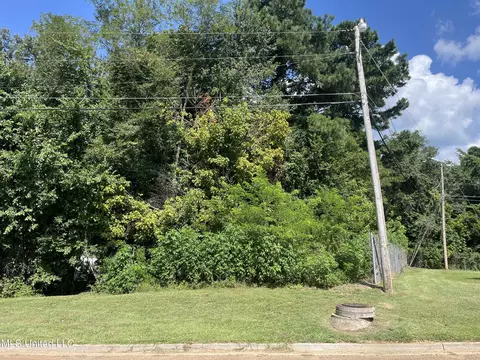 0 Triplett Dr, Natchez, MS 39120 photo 3