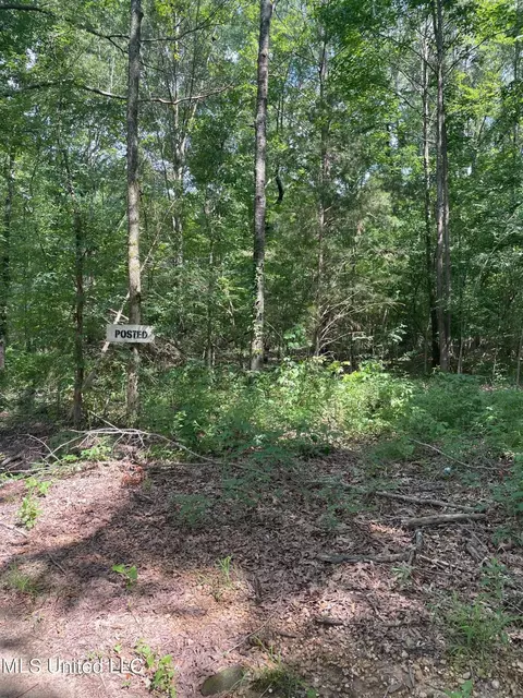 Cleo-clark Road, Canton, MS 39046 photo 6