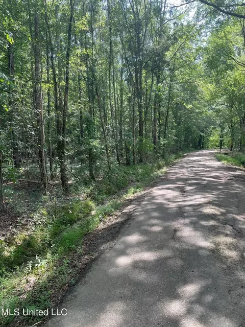 Cleo-clark Road, Canton, MS 39046 photo 5