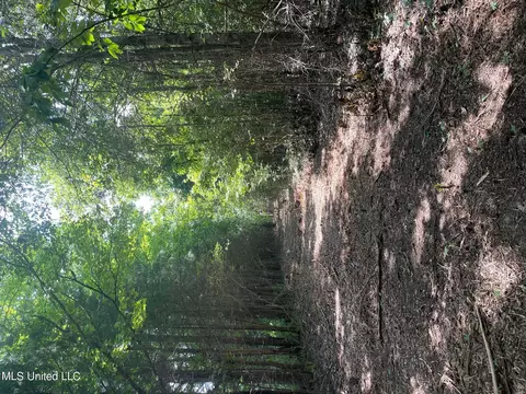 Cleo-clark Road, Canton, MS 39046