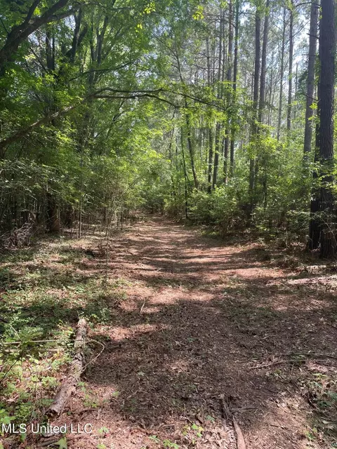Cleo-clark Road, Canton, MS 39046 photo 3
