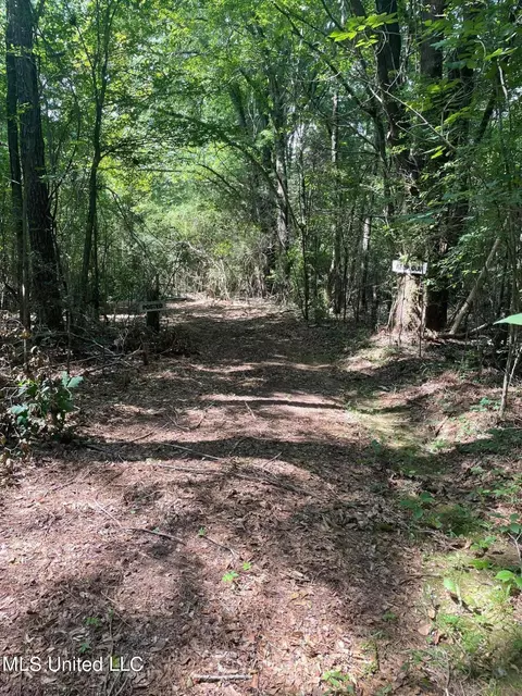 Cleo-clark Road, Canton, MS 39046 photo 2