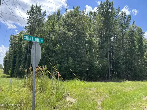 tbd River Road N Shell Oil Rd, Summit, MS 39666 photo 4