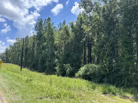tbd River Road N Shell Oil Rd, Summit, MS 39666 photo 5